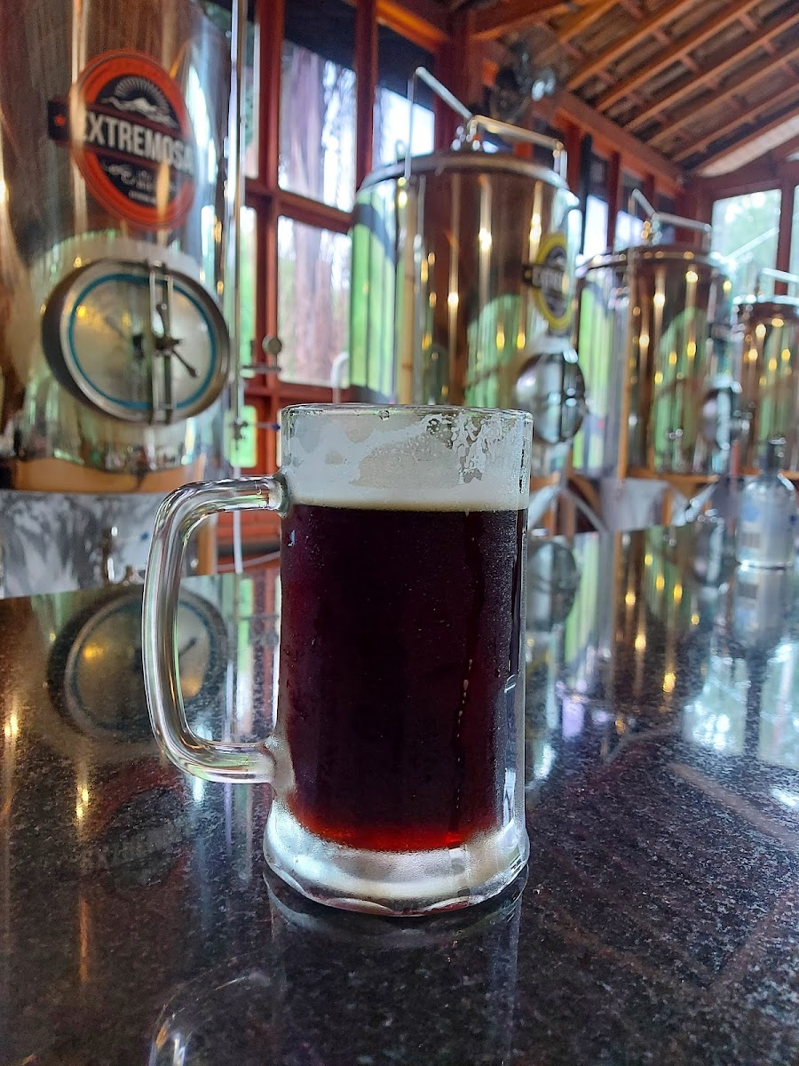 Restaurante E Cervejaria Extremosa-10